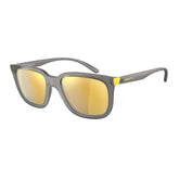 Arnette Gray Haircalf Sunglasses